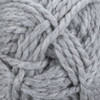 10-Gris/10-K915 GRIS