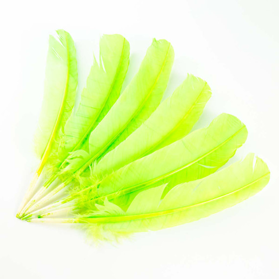 4-Verde/4-Lm-Verde Limón