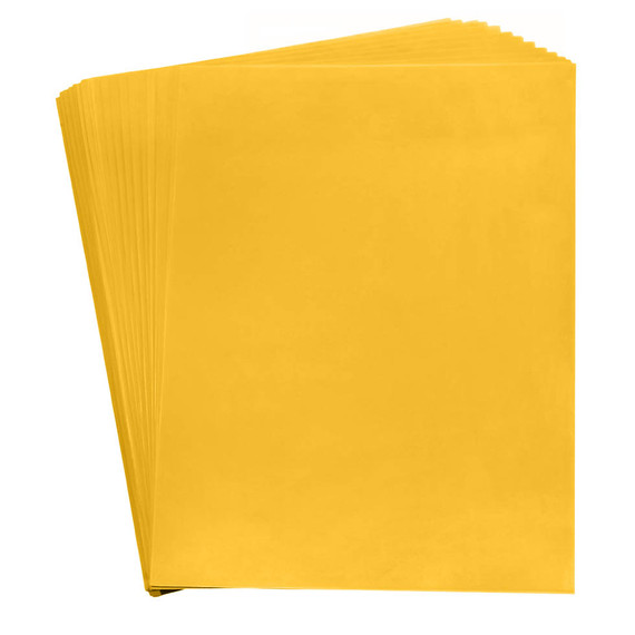 6-Amarillo/6-06-Amarillo Mango