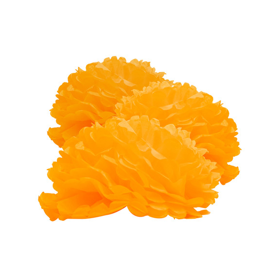 2-Naranja/2-Cempasúchil
