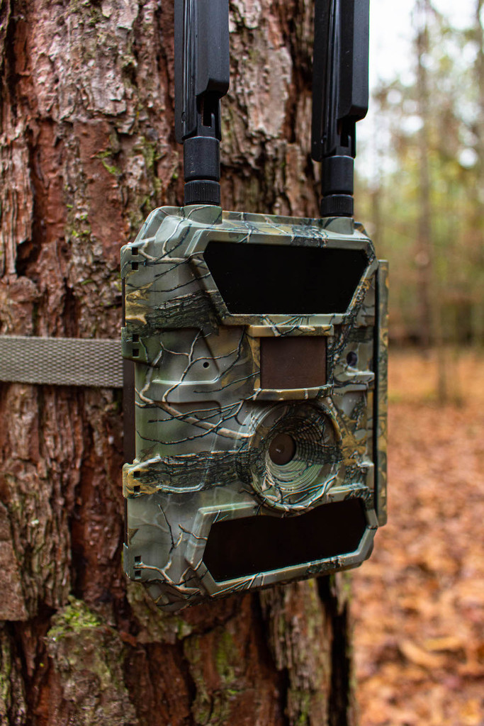 smart deer camera