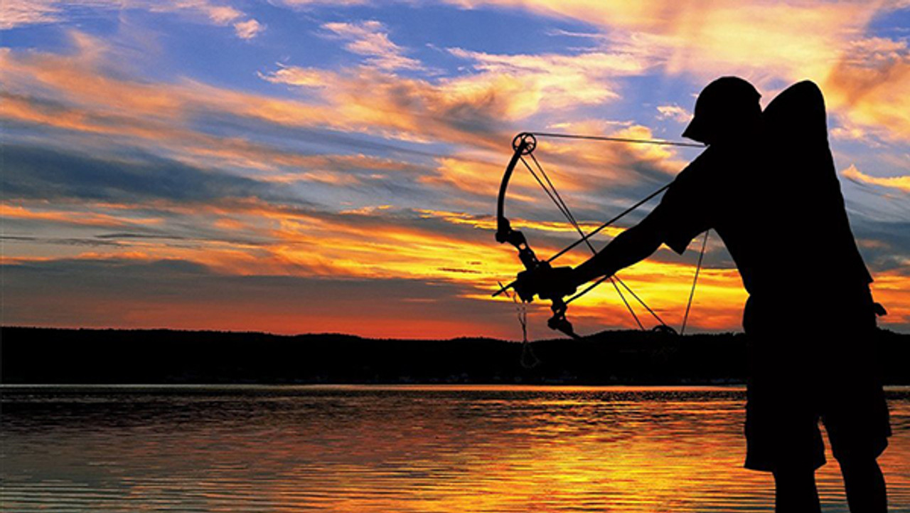 SABRE LIGHTED BOWFISHING ARROW - Mike's Archery