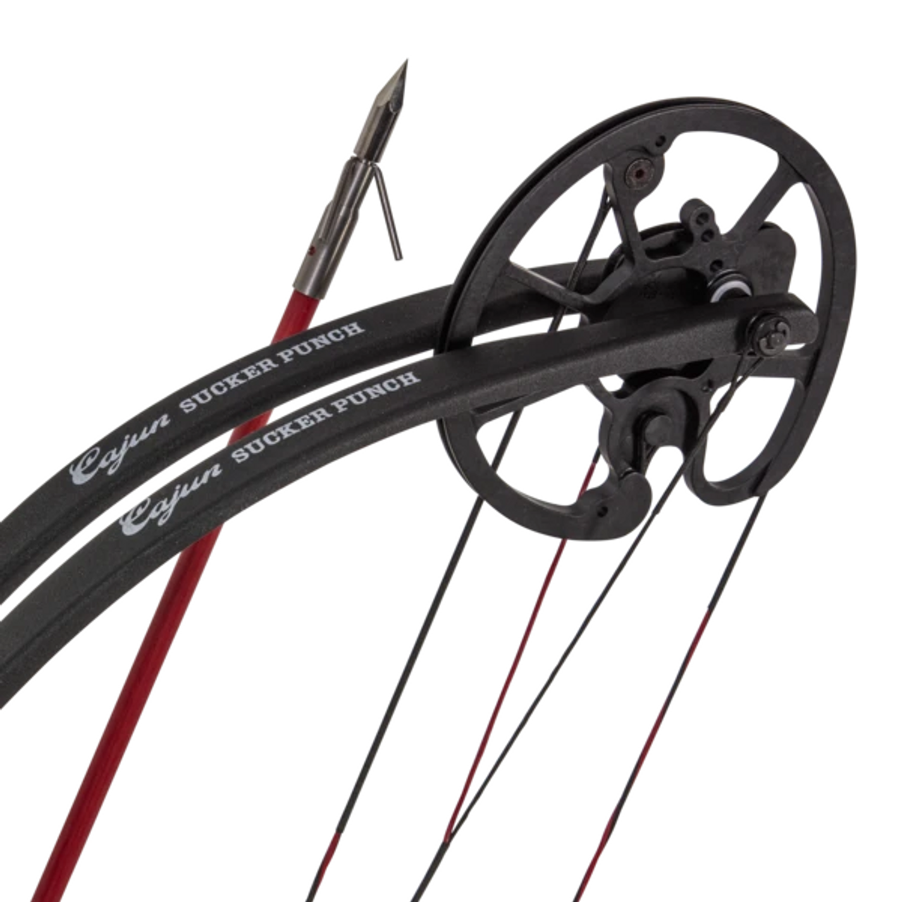 Bear Archery Cruzer G2 5-70# RH Shadow Cajun Winch Bowfishing