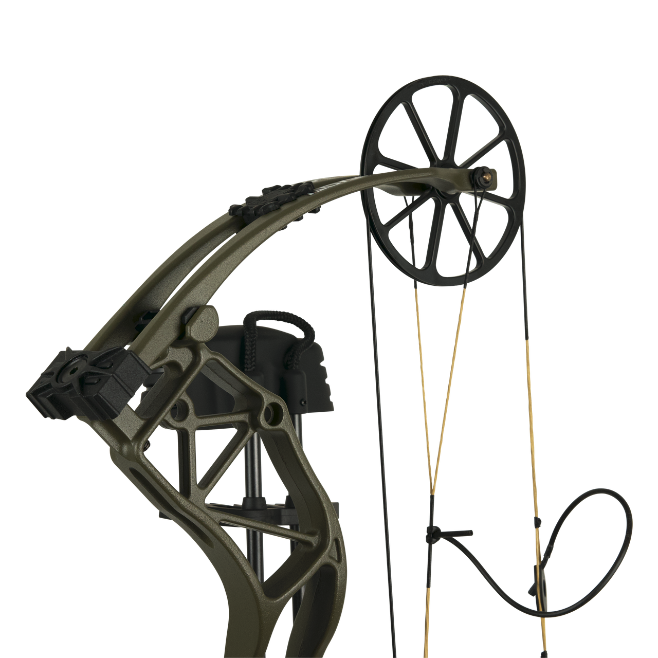 Bear Archery Adapt - Thumbnail 5