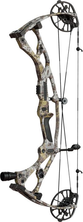 Hoyt RX-8