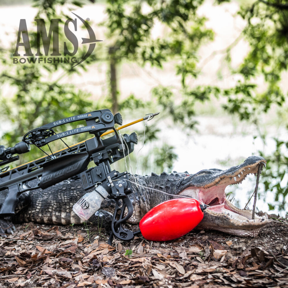 Kit d'arbalète AMS Bowfishing Big Game RH (arbalète non incluse) - eBay