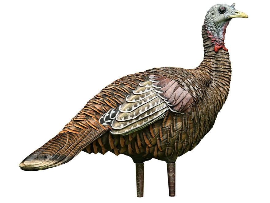 Avian-X LCD Lookout Hen Collapsible Turkey Decoy AVI-8006 - Mike's