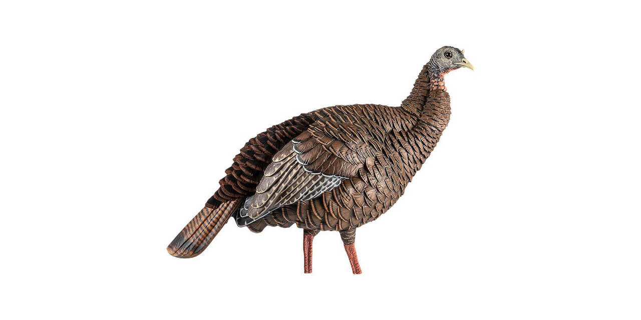 Avian-X HDR Hen Turkey Decoy