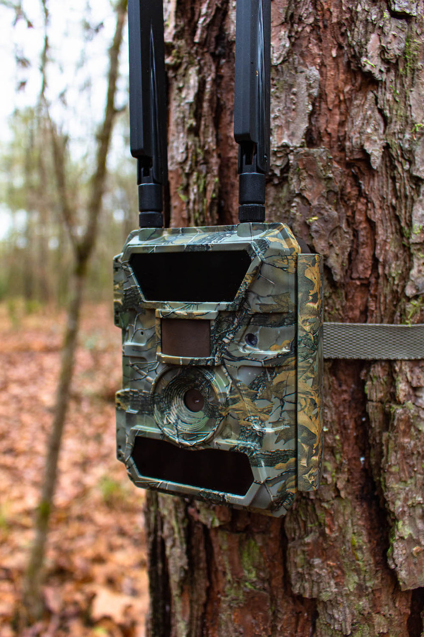 WiseEYE Smart Cam LTE / 4G Cellular Trail Camera - Mike's Archery