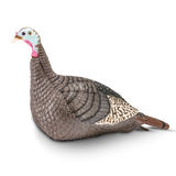 HS Strut Lite Standing Hen