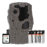 Wildgame Innovations Spark 2.0 18MP Lightsout Combo