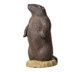 Rinehart Signature Groundhog Target