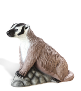 Rinehart Signature Badger Target