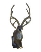 Delta Mckenzie/Mikes Archery Special Jackalope