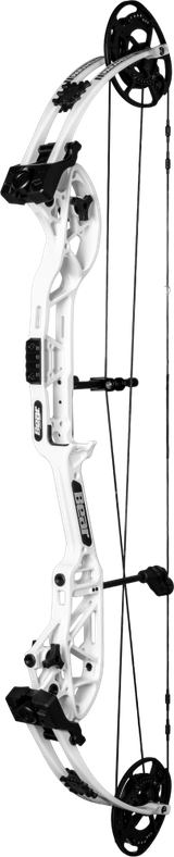Bear Archery Paramount Target Bow