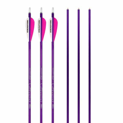 Easton Genesis Purple Arrows (6pk)