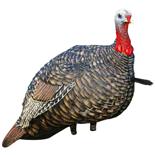 Avian-X LCD Jake Quarter Strut Collapsible Turkey Decoy AVI-8003