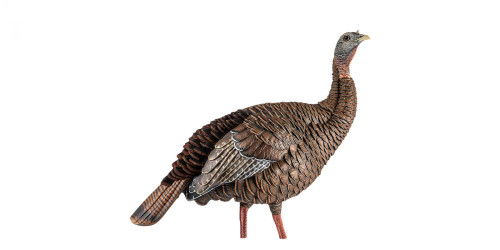 Avian-X HDR Hen Turkey Decoy with Multiple Head Positions