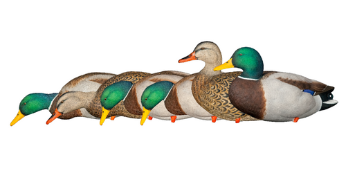 Avian-X Top Flight Full Body Mallard Duck Decoy Set 6 Pack Model #A8061