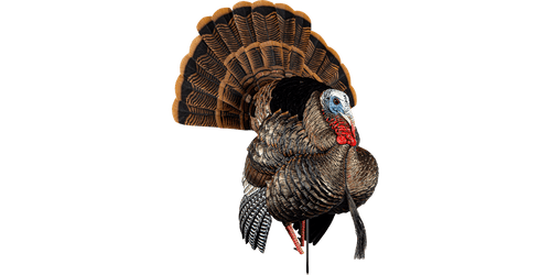 Avian-X HDR Strutter Decoy