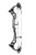 BEAR ARCHERY SURPASS LH 60 DNA/BLACK 