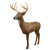 Rinehart Woodland Mule Deer Archery Shooting Target