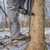Latitude Single Step Aider