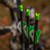 Tenpoint ACU-X RD Carbon Arrows 20” .001 Lighted ACU-Nock (3 Pack)