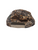 Mike's Archery Logo Silicon Antler Patch Richardson 256P Rope Hat (Realtree Advantage)
