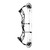 PSE Evolve DS 33 Black 70# RH