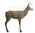 Blocker Outdoors Ol' Hank Deer Decoy