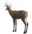 Blocker Outdoors Ol' Hank Deer Decoy