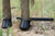 Blocker Outdoors Ol' Hank Deer Decoy