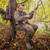 Millennium Tree Seat Mossy Oak Bottomland