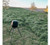Moultrie 200 LB DEER FEEDER STANDARD