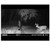 Moultrie EDGE 3 Cellular Camera