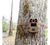 Moultrie EDGE 3 Cellular Camera