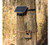 Moultrie EDGE 3 plus 3.4W Solar Panel