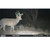 Moultrie EDGE 3 Solar Cellular Camera