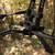 Xpedition Xlok Bow Stand