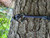 Osprey Outdoors Lean Ascent Ring of Steps