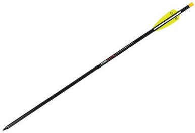 TenPoint Crossbow Bolts 20" Omni-Brite 2.0 Lighted Pro Elite Carbon Hunt Arrows 