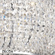 A1 Ideal Lux - Pasha - Cut Crystal & Chrome Modern Designer Beaded Wall Light - Contemporary Italian Style for a Dining Room, Living Room, Hallway, Hotel & Restaurant A1 Ideal Lux - Pasha - Cut Crystal & Chrome Modern Designer Beaded Wall Light - Contemporary Italian Style for a Dining Room, Living Room, Hallway, Hotel & Restaurant