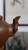 English: Partial close-up of the bionic peach branch spout, with natural bark texture and smooth water outlet, perfect integration of art design and practical brewing function.
