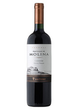 Castillo De Molina Carmenere