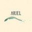 Ariel