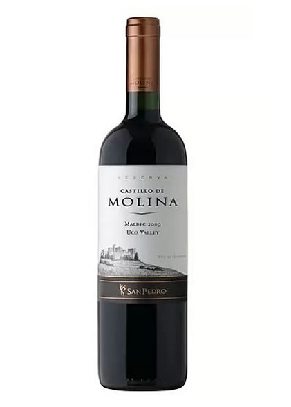 Castillo De Molina Malbec