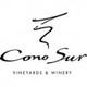 Cono Sur