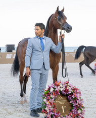 SVB Calais Shines with Silver at GCAT Miami Beach 2025