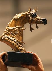 The Timeless Majesty of Arabian Horses – A Legacy Thriving in the USA